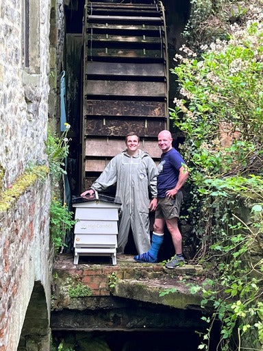 There's something BUZZING at High Corn Mill!